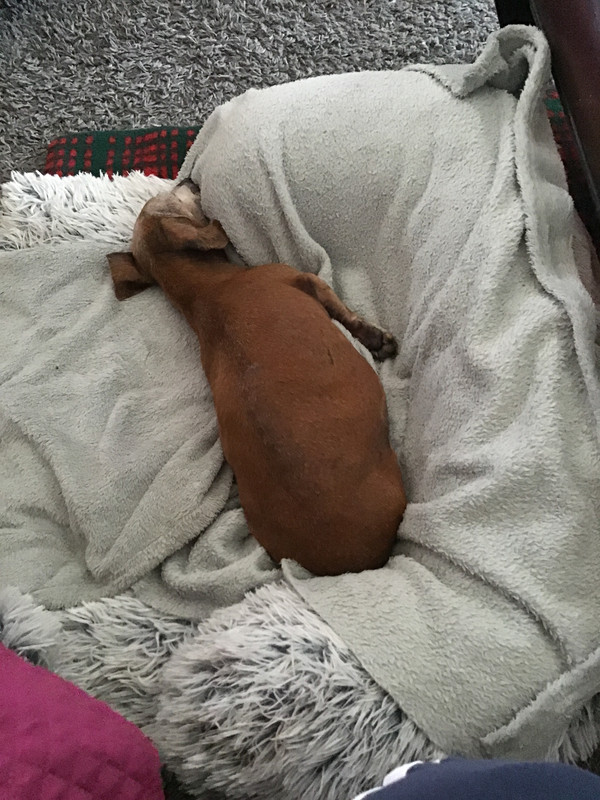 [Image: 1-CD967-C9-BC47-4061-AF07-99447-AE8963-A.jpg]