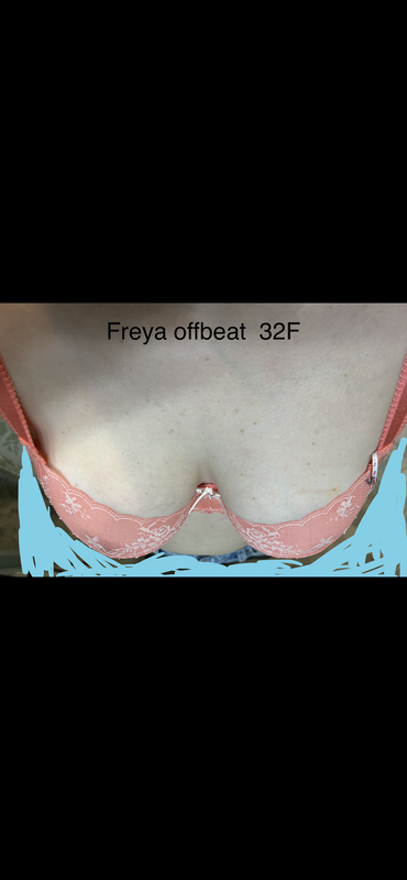 IMG 9286