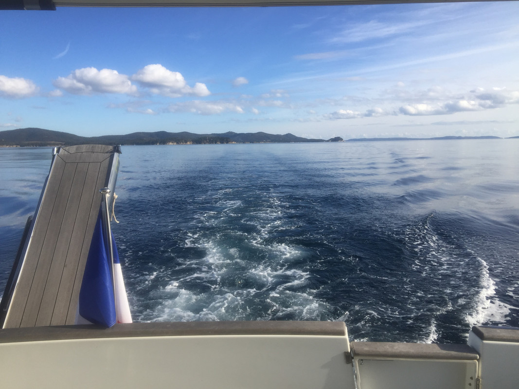 43262BDB-B1E7-40D5-BC12-C80F0520AA72