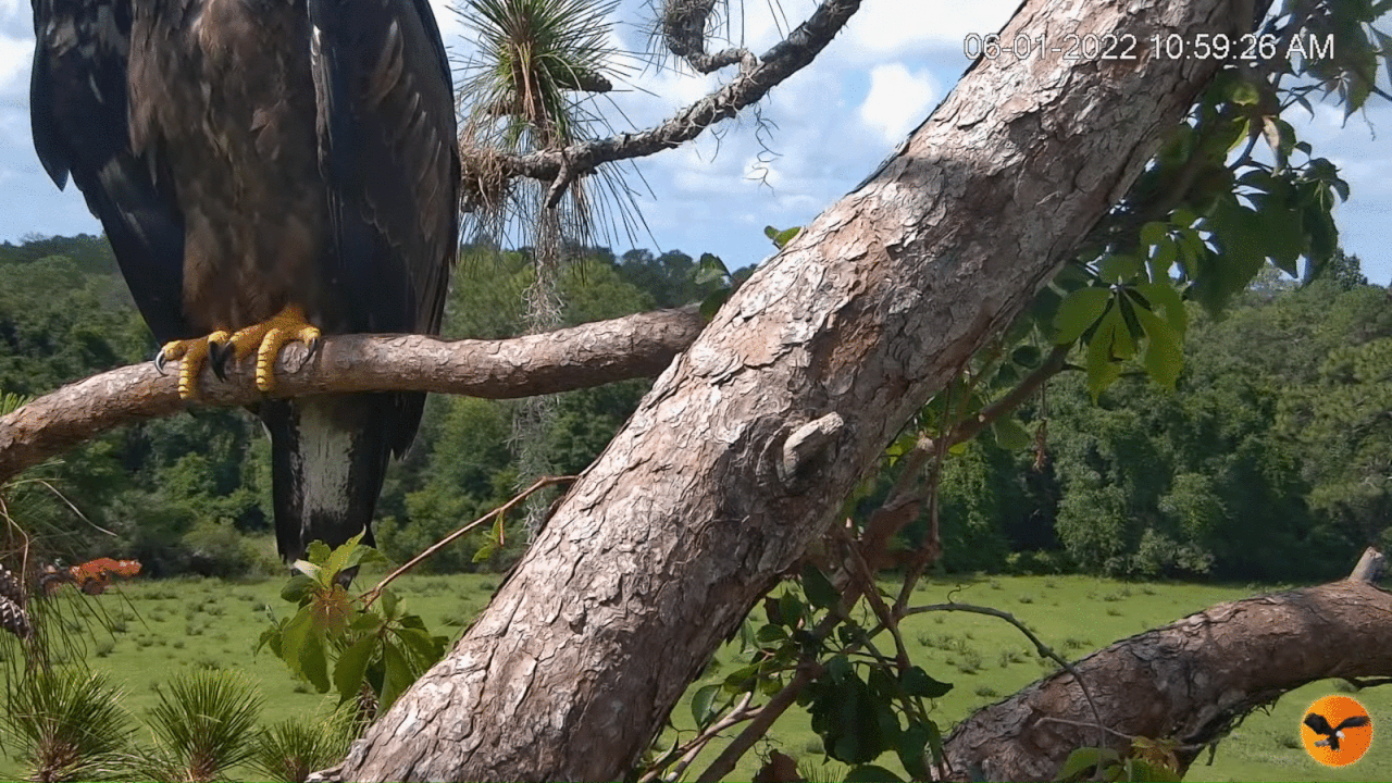 Webp.net-gifmaker (4)