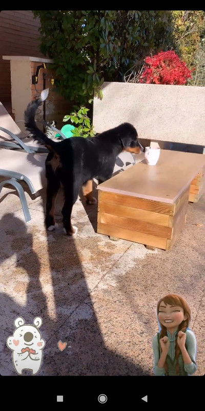 Screenshot_2021-01-19-15-01-59-933_com.instagram.android