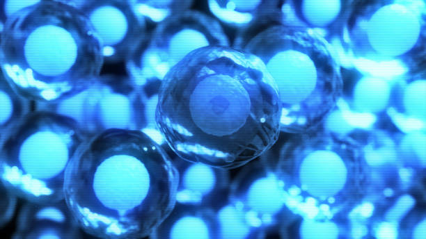 certified stem cell clinic Mexico