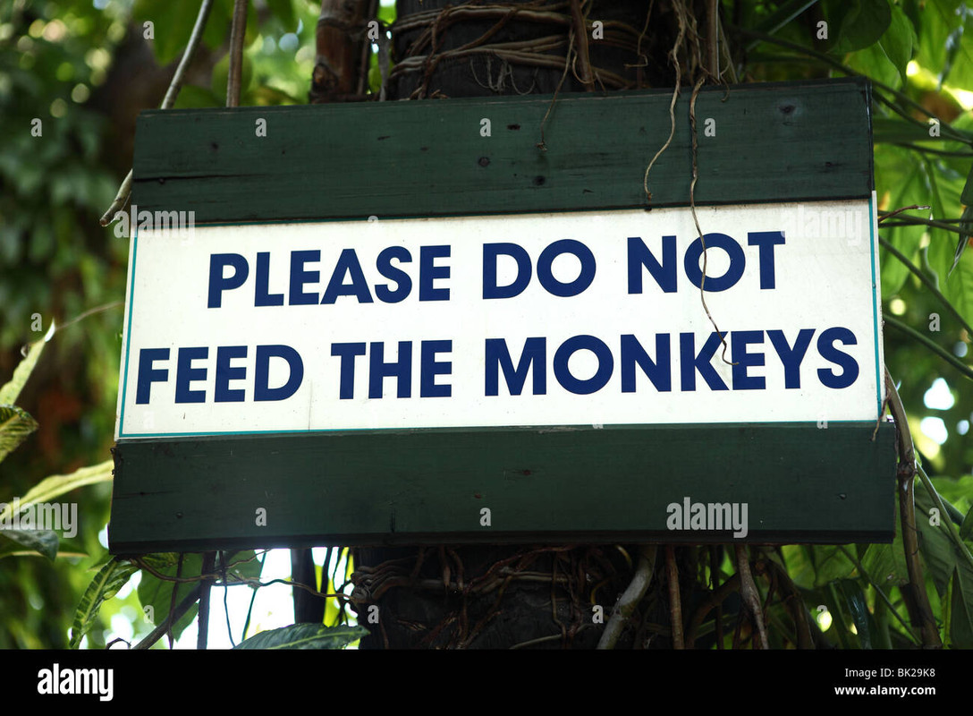 un-cartel-indica-no-alimentar-a-los-monos-aparece-en-un-resort-de-vacaciones-en-livingstone-zambia-b.jpg