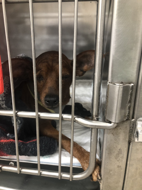 76AA83EE-4E46-4B2A-999B-FBC44A382973