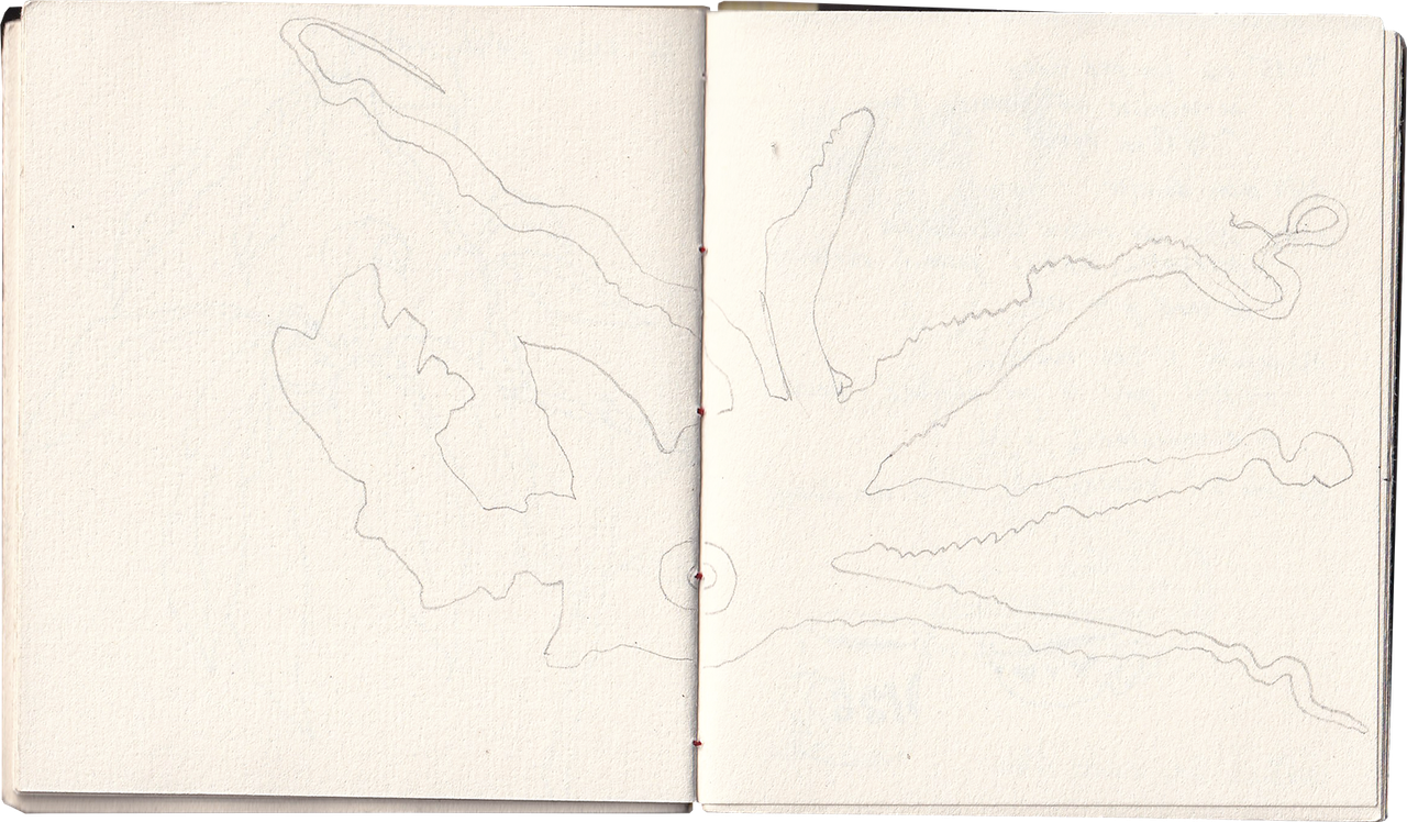 gradient15.png