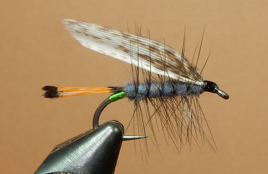 Westman-s-Delight-1080.jpg