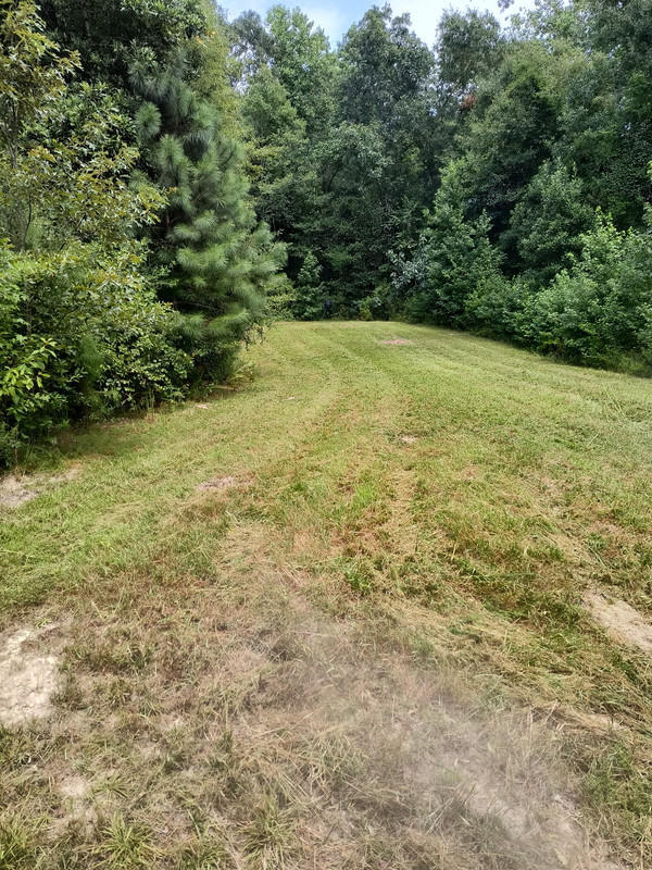 IMG 20260730 125024132 HDR