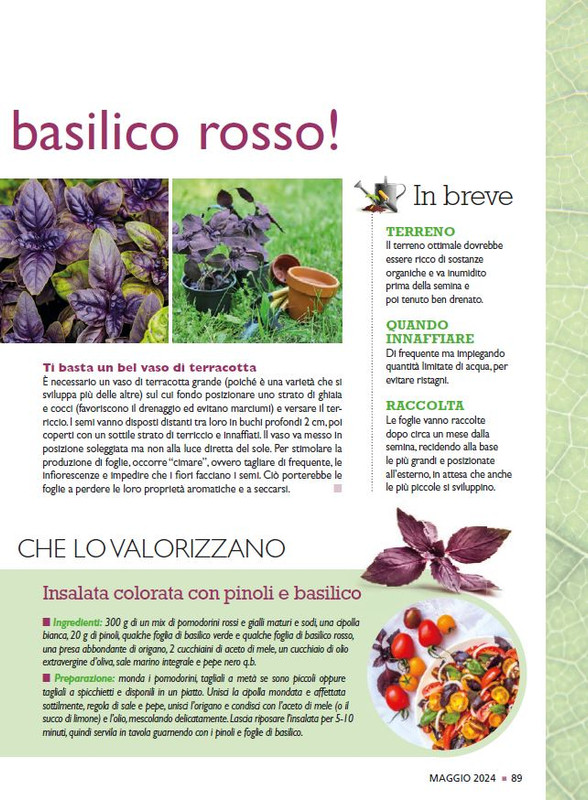 Sal Nat  Mag 2024 (8)