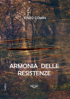 Enzo Comin - Armonia delle resistenze (2024)