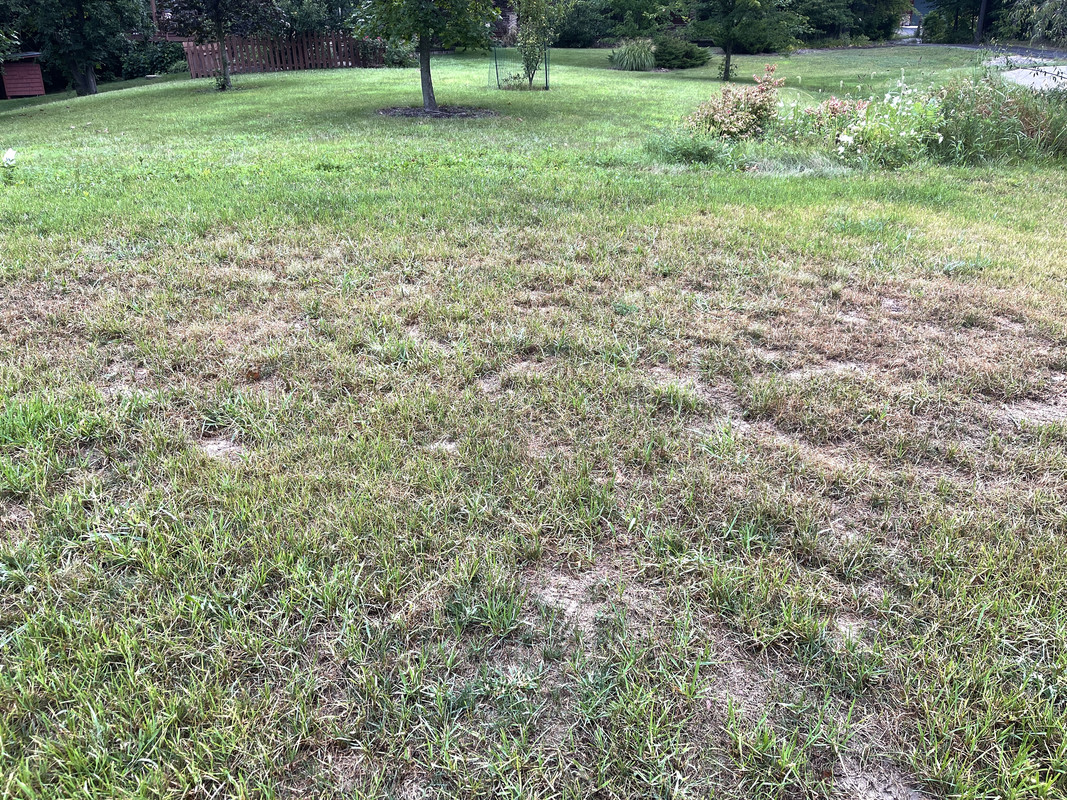 93F3EBD2-FC9E-4CC9-8D5D-BB0E1B4A345C