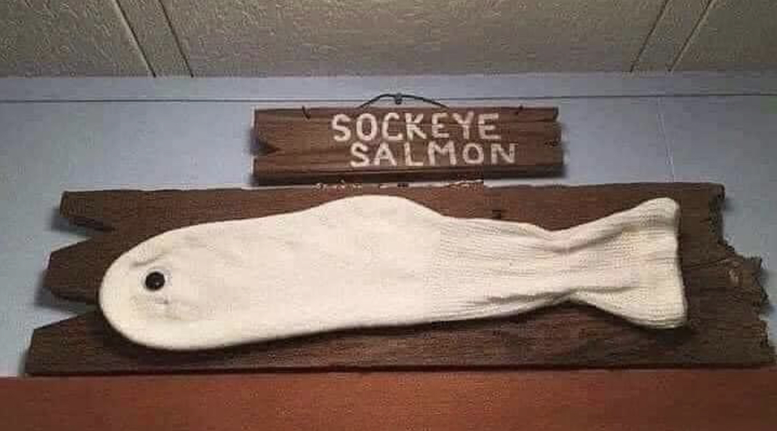 EA69B87A-F893-4947-A043-F51F915F448F