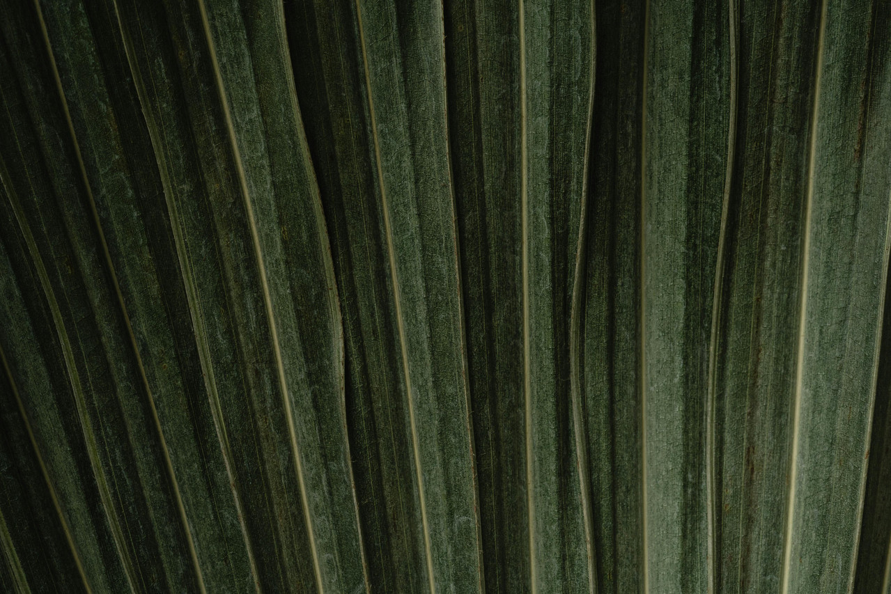 Luxury beauty treatment