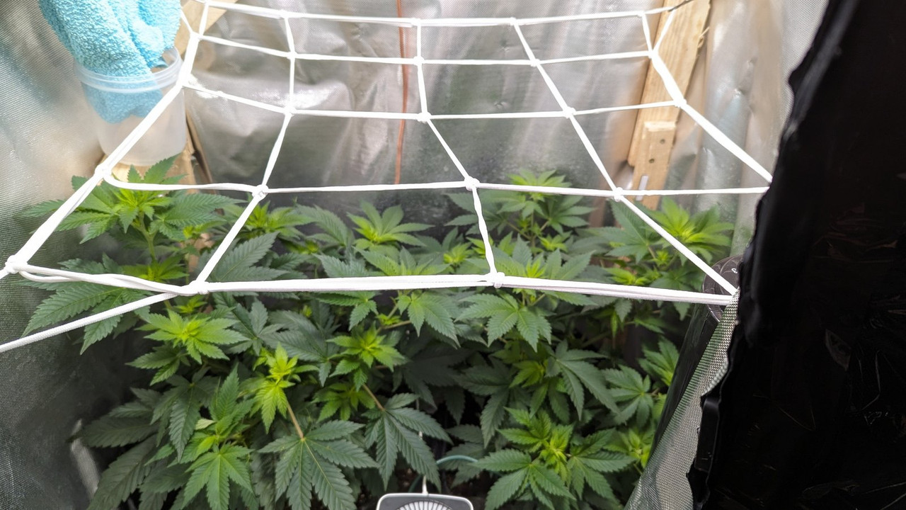 IMG_20240430_221728_(3000_x_1688_piksel)