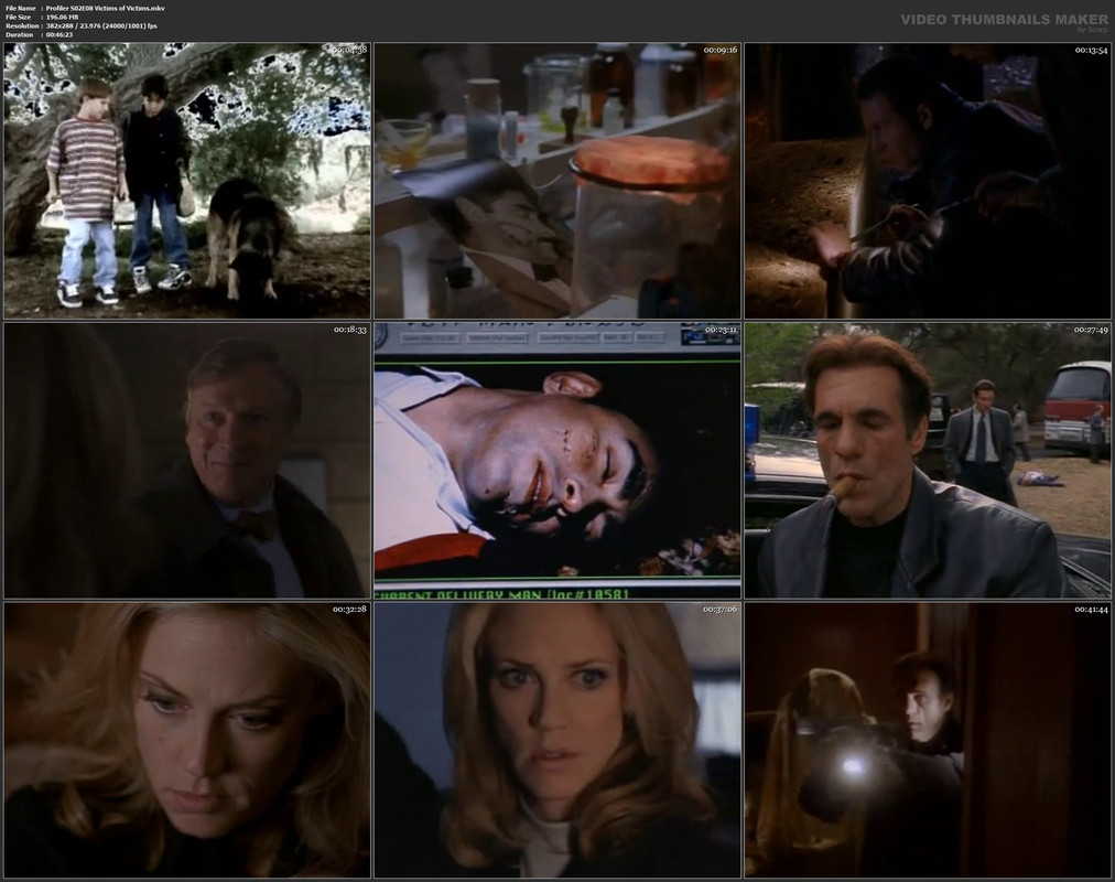 Profiler S02E08 Victims of Victims.mkv