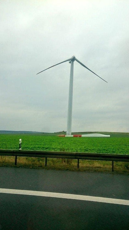 листья падают