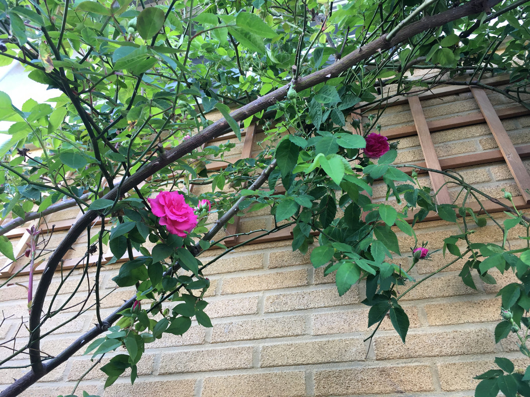 FD1D4972-610D-40EF-823D-11BAE3491B01