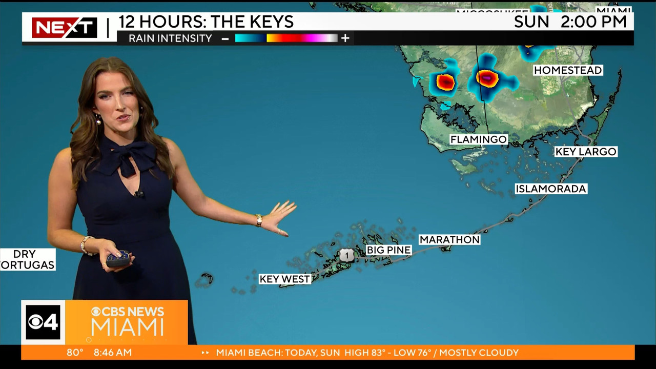 05.14 - 12.00.00 - CBS News Miami Morning Edition  ᴺᵉʷ..ts_snapshot_01.20.15.047
