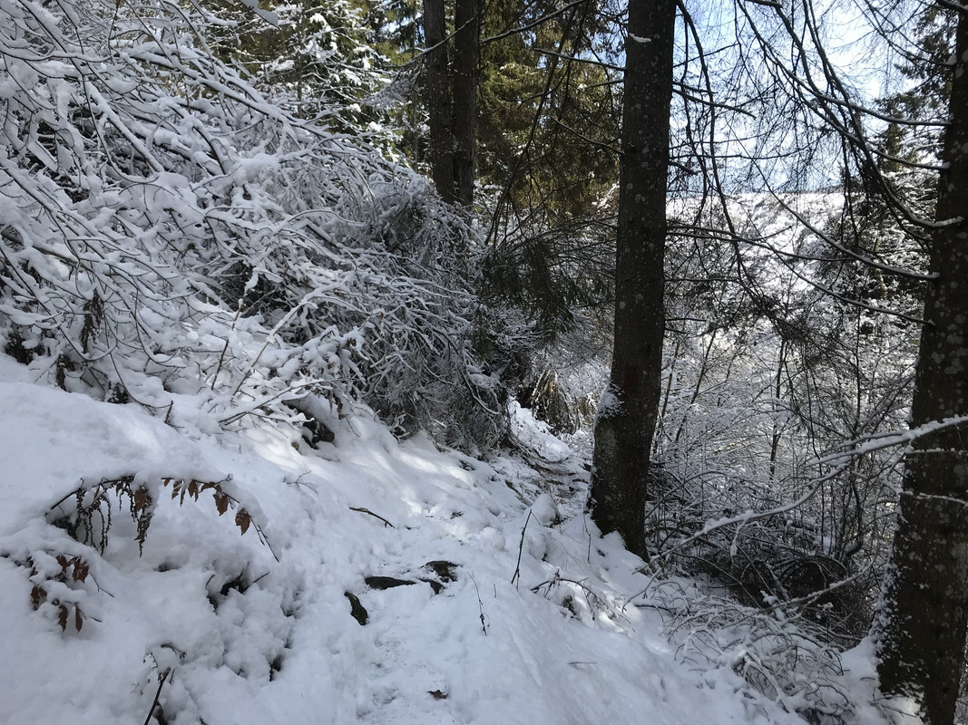 EBCA499F-FBE1-416C-B1D3-42BF21B80849