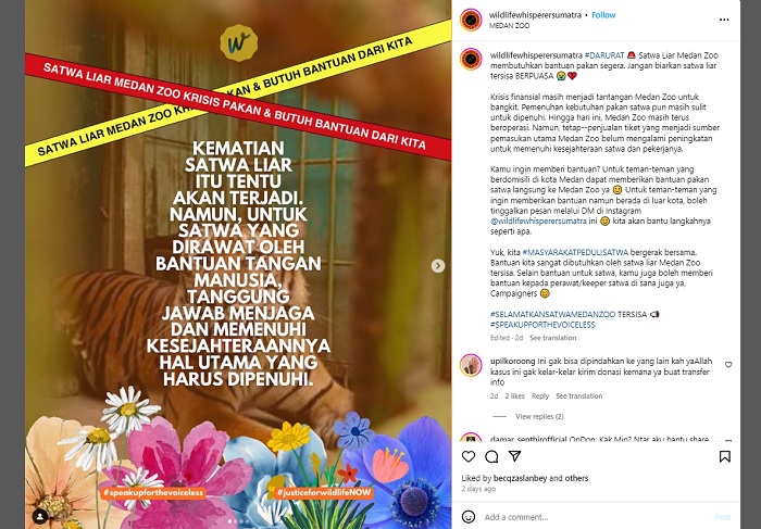 Beberapa satwa di Medan Zoo dikabarkan kembali berpuasa lantaran terbatasnya pakan. Hal itu diungkapkan oleh akun Instagram @wildlifewhispersumatra melalui postingannya.