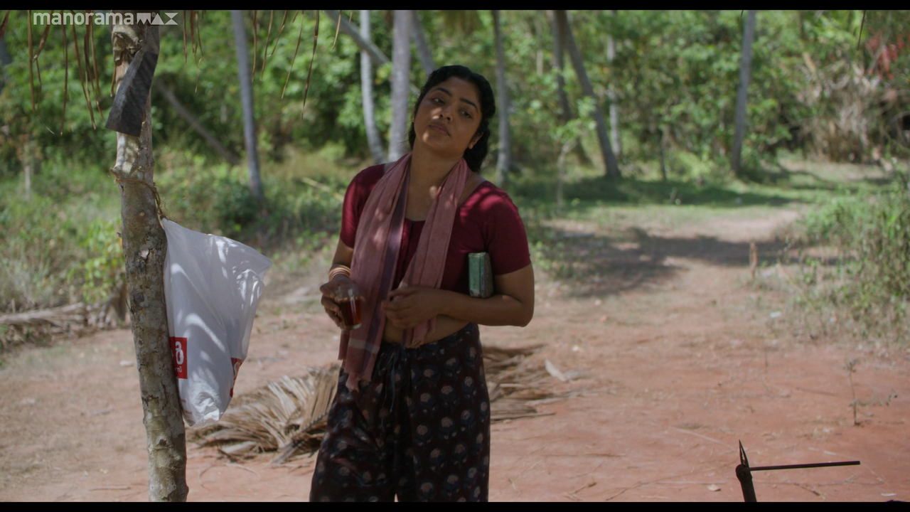 vlcsnap 2026 02 25 12h50m08s848