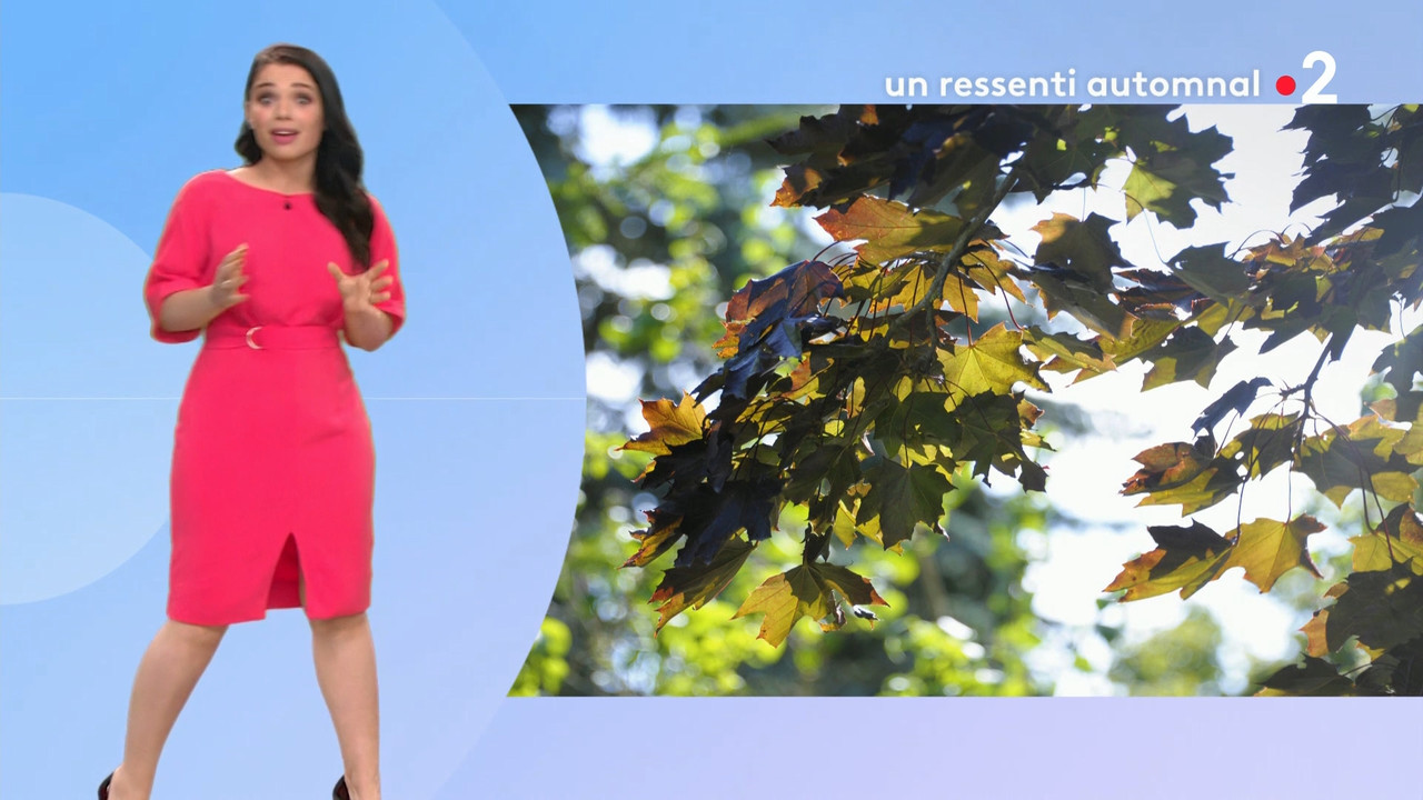 2020-07-15_12_55_Fr2_Meteo.mp4_snapshot_04.35.151
