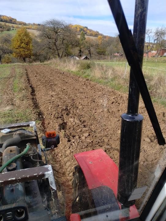 IMG 20251027 103205641