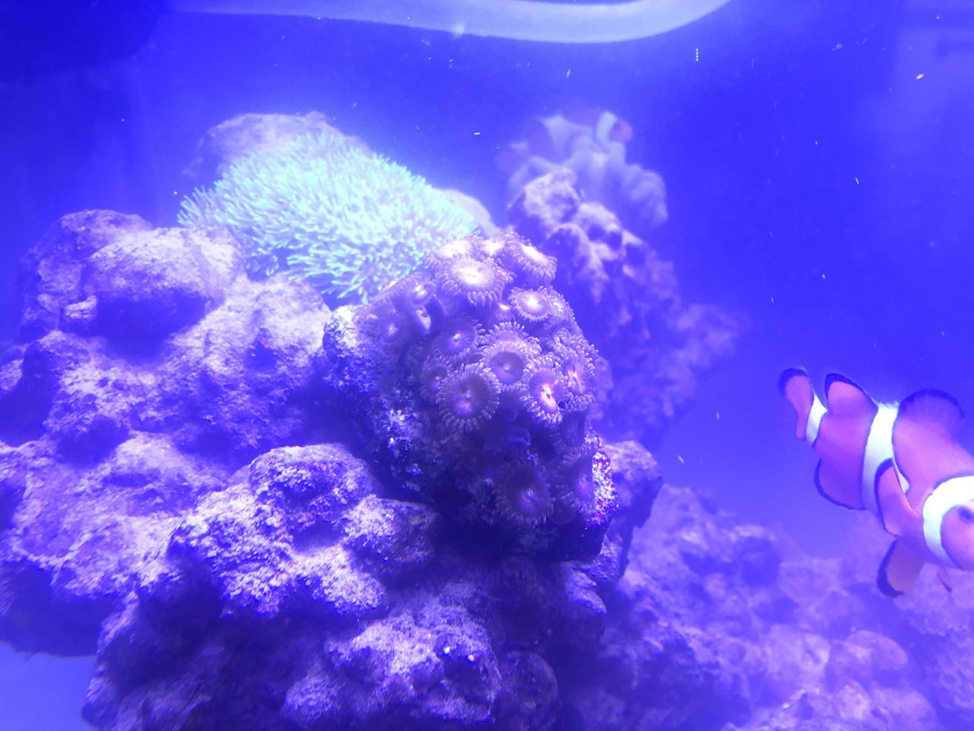 AD8A045C-4CD3-4874-AD56-26AB9FCA83A1