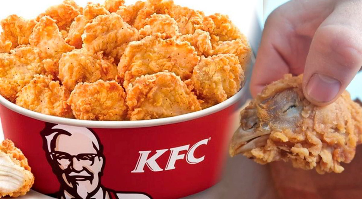 Scopre una testa di pollo fritto nella sua scatola di crocchette KFC