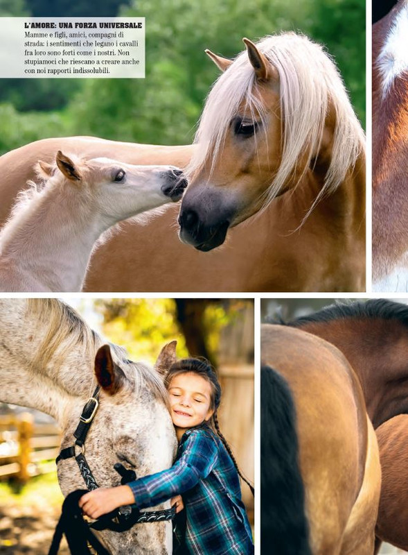 Il Mio Cav (Feb 2023) 4