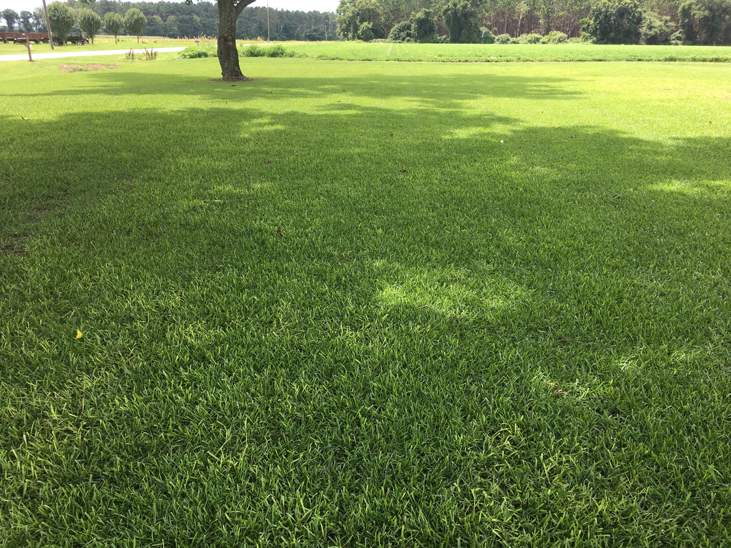 47634135-4440-4E53-BA5C-CCF8E118E6BB