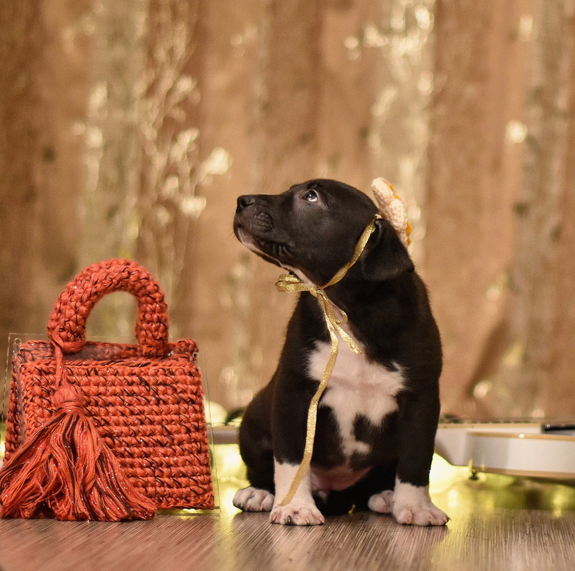 3D8EC9E1-764A-4B31-AB47-C57676DED76A