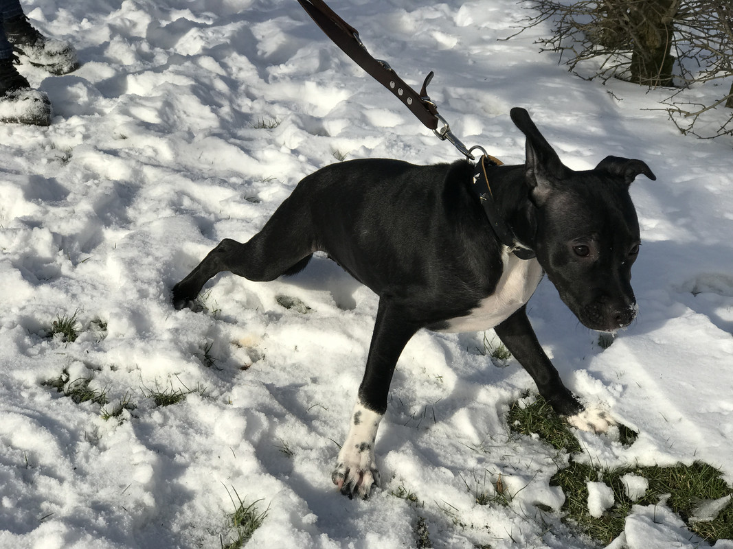 D572F69C-EF8A-4C56-9DBF-6DBDA02C7B0F