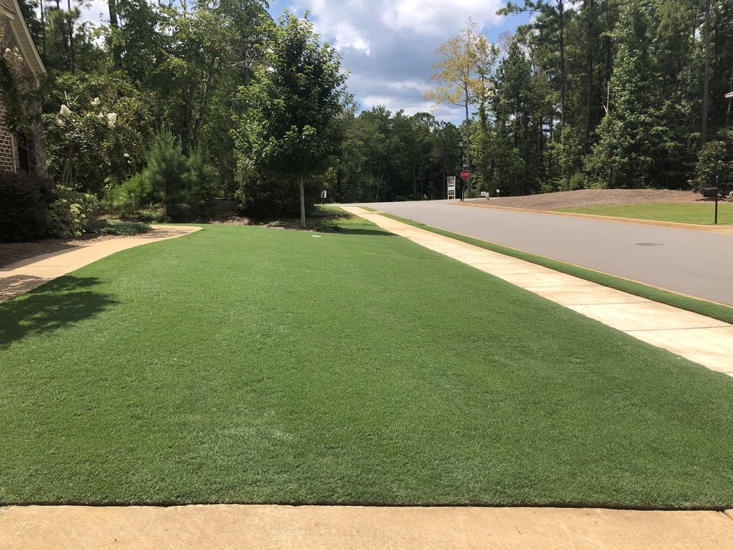 C2C0A689-D1CC-4847-8038-8A7E21C3A0DF