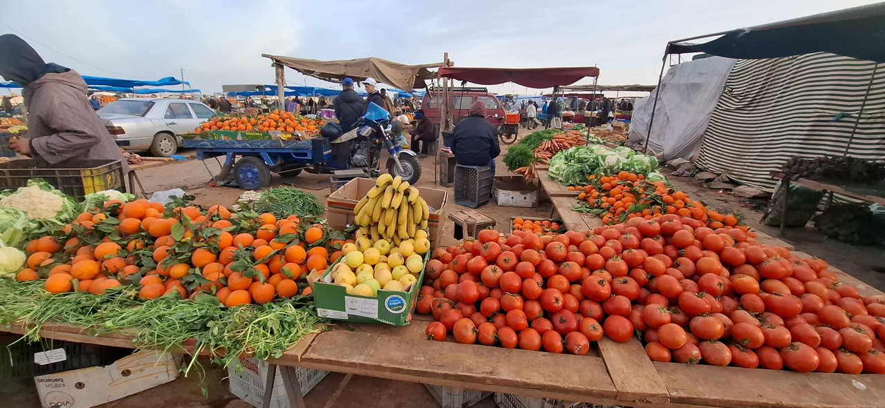 634723645-1150423577038050-5491623546716229786-n