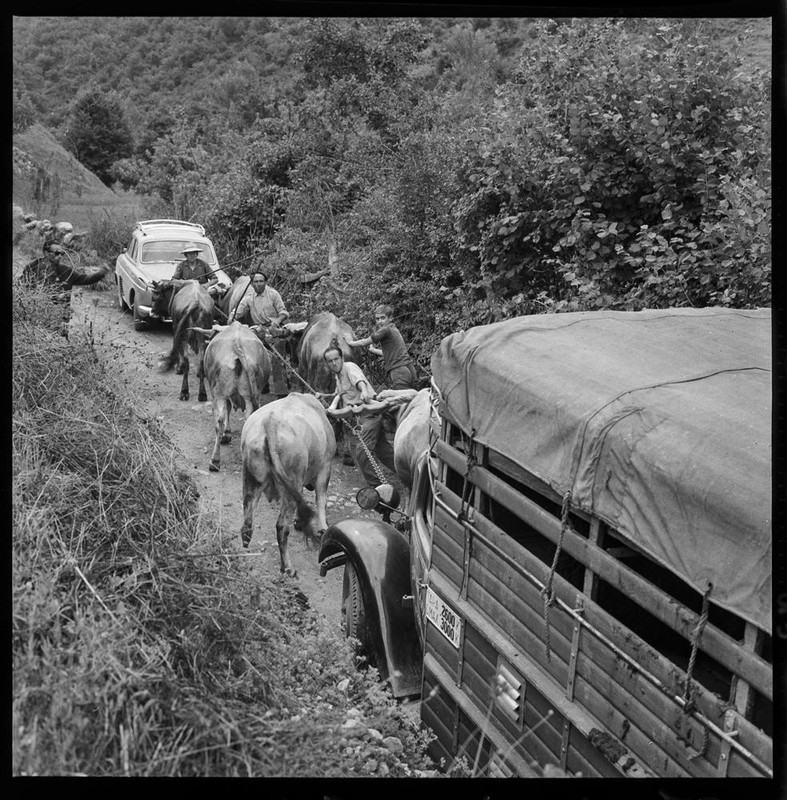 Asturias_AsistenciaCarretera1