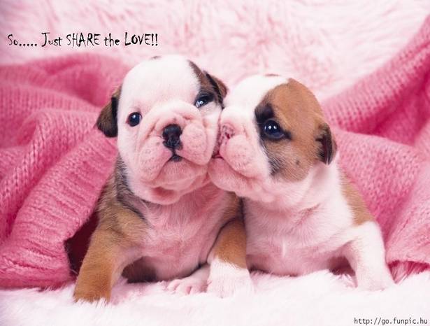 1-2-3-Share-Love