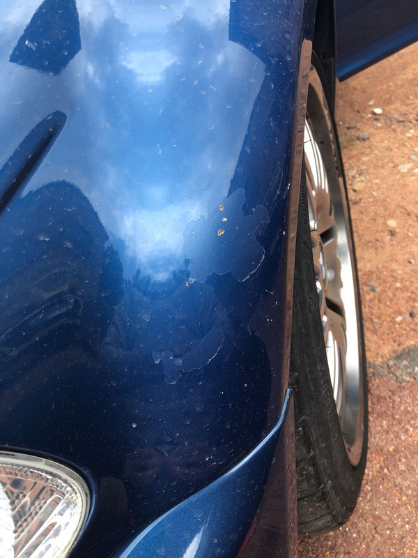 WhatsApp Image 2018-09-07 at 09.07.04 (2)