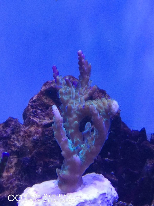 676A031E-B3F9-47FD-B9C1-5EAC5D9AF79C