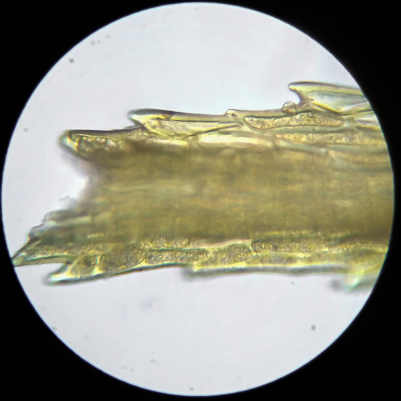 IMG 20250614 111619 HDR