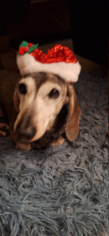 [Image: 20251224-185821.jpg]