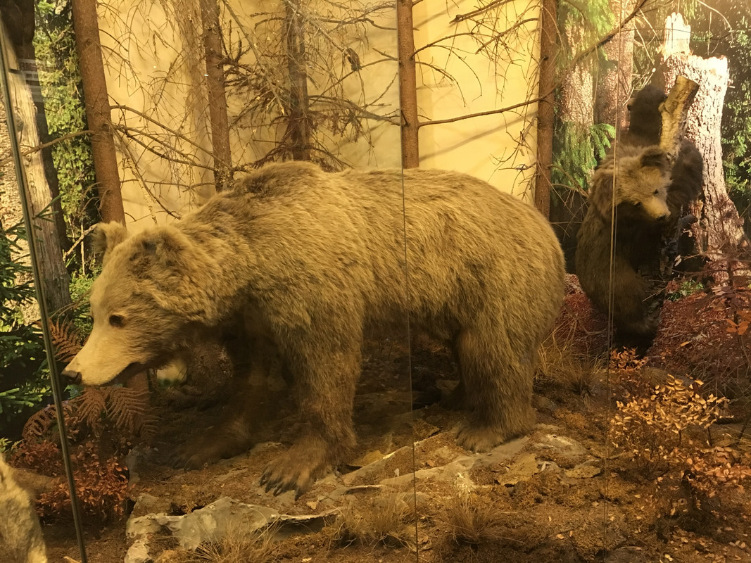 05.39 - IMG_0273 (Eksplorator63)