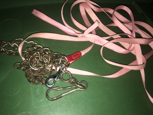 [Image: IMG-2155.jpg]