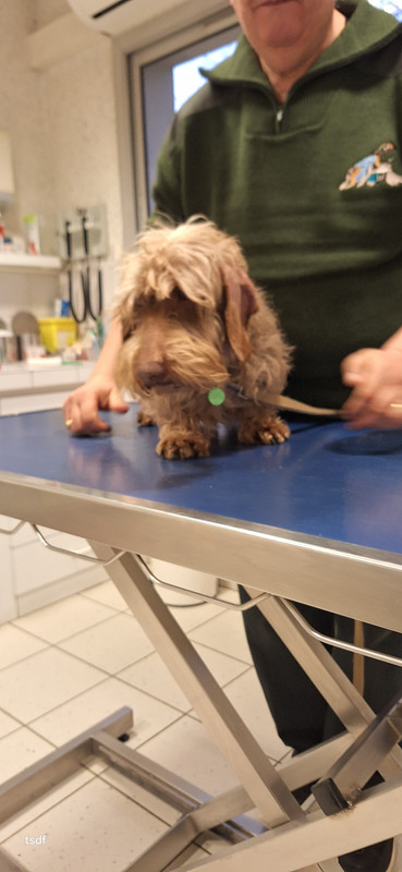 [Image: 20250304-185510.jpg]