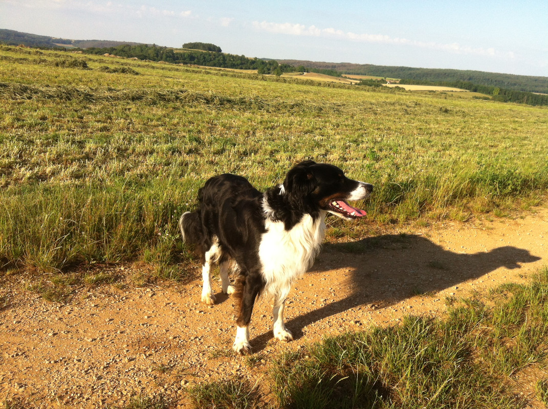 CA300EF8-D479-4125-8DA5-F898E3E95C4E