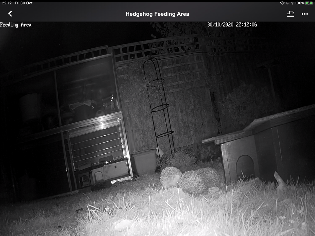 5B259D9C-223D-4ED8-8DBB-E4C24390718C