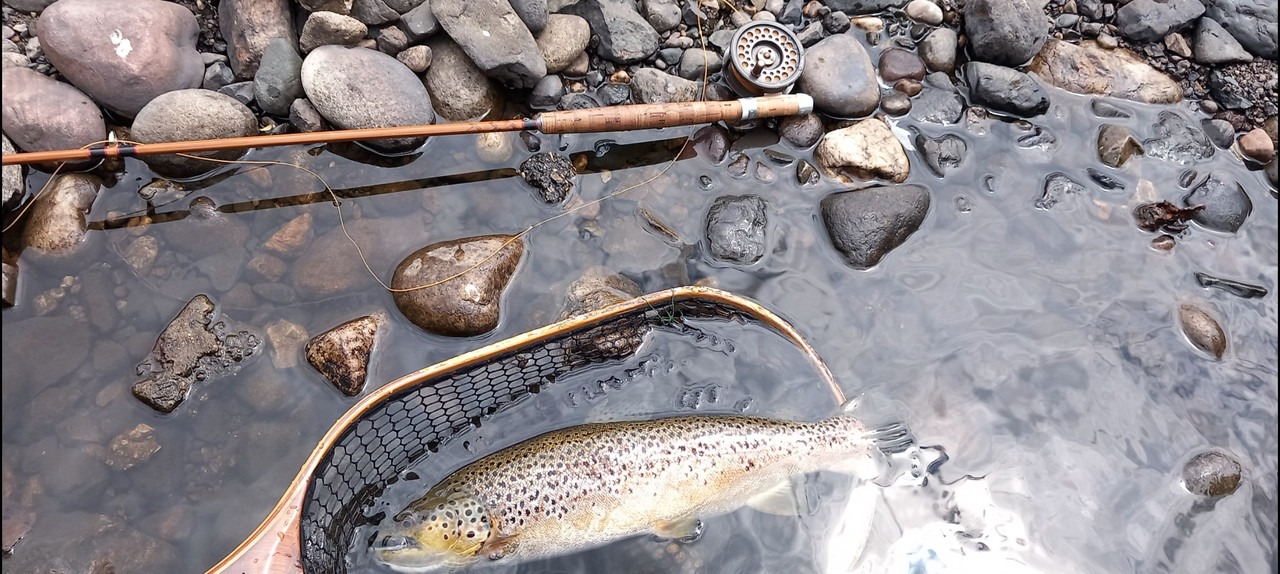 Screenshot_20240806_184305_Gallery