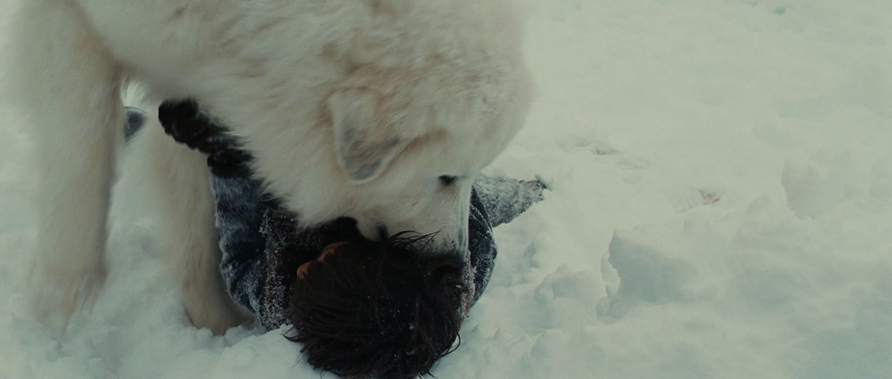 vlcsnap-2023-01-10-15h49m43s768