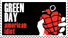 american idiot