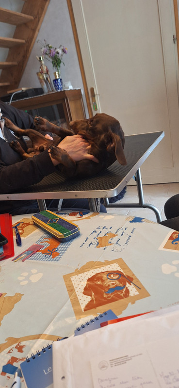 [Image: 20251002-171904.jpg]