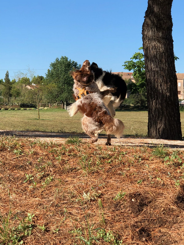 A45D8E06-7315-4B89-83D2-9D9621D143D1